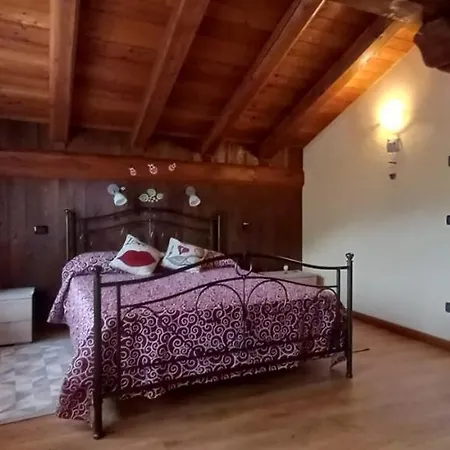 La Coccinella *